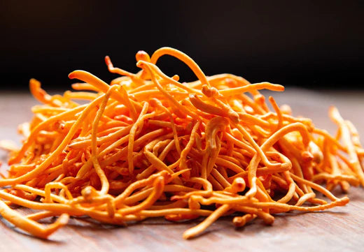 Cordyceps Mushroom | Clarityfy