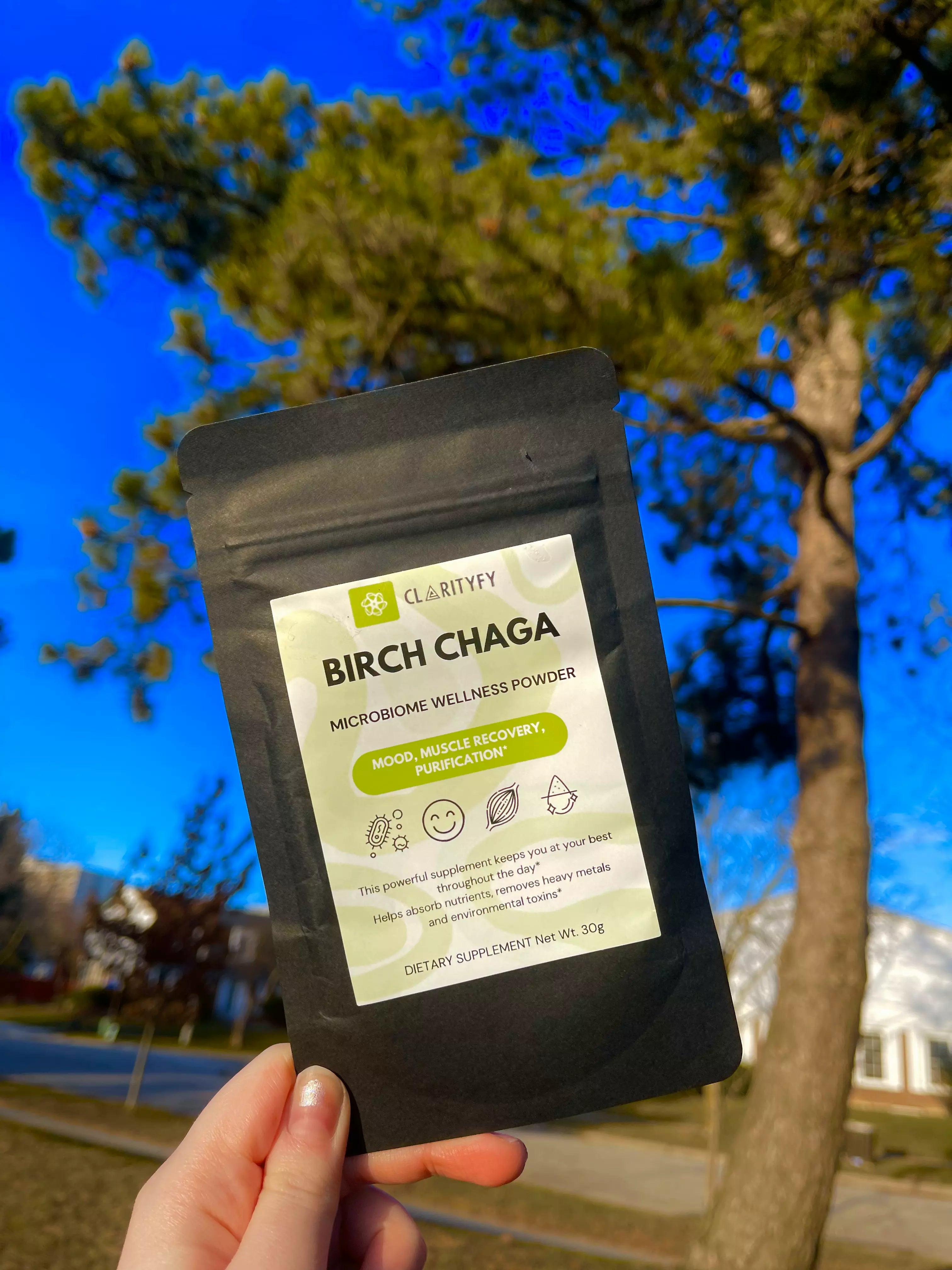 Birch Chaga Powder