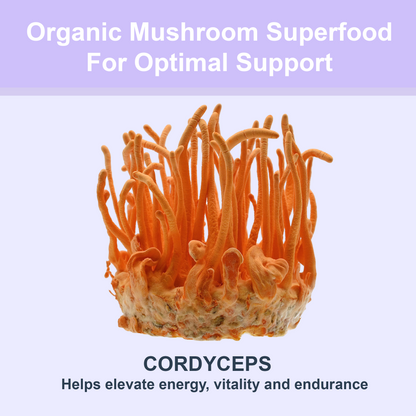 Cordyceps Mushroom | Clarityfy